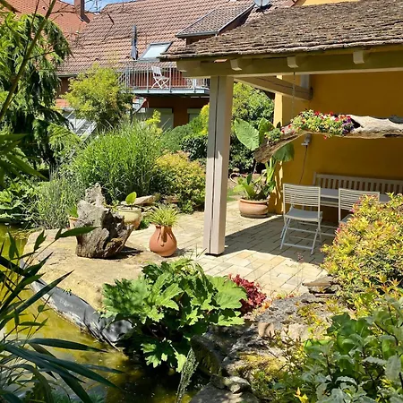 Grand T3, 2 Chambres, Jardin Au Calme - Du Photographe *