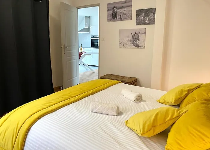 Grand T3, 2 Chambres, Jardin Au Calme - Du Photographe